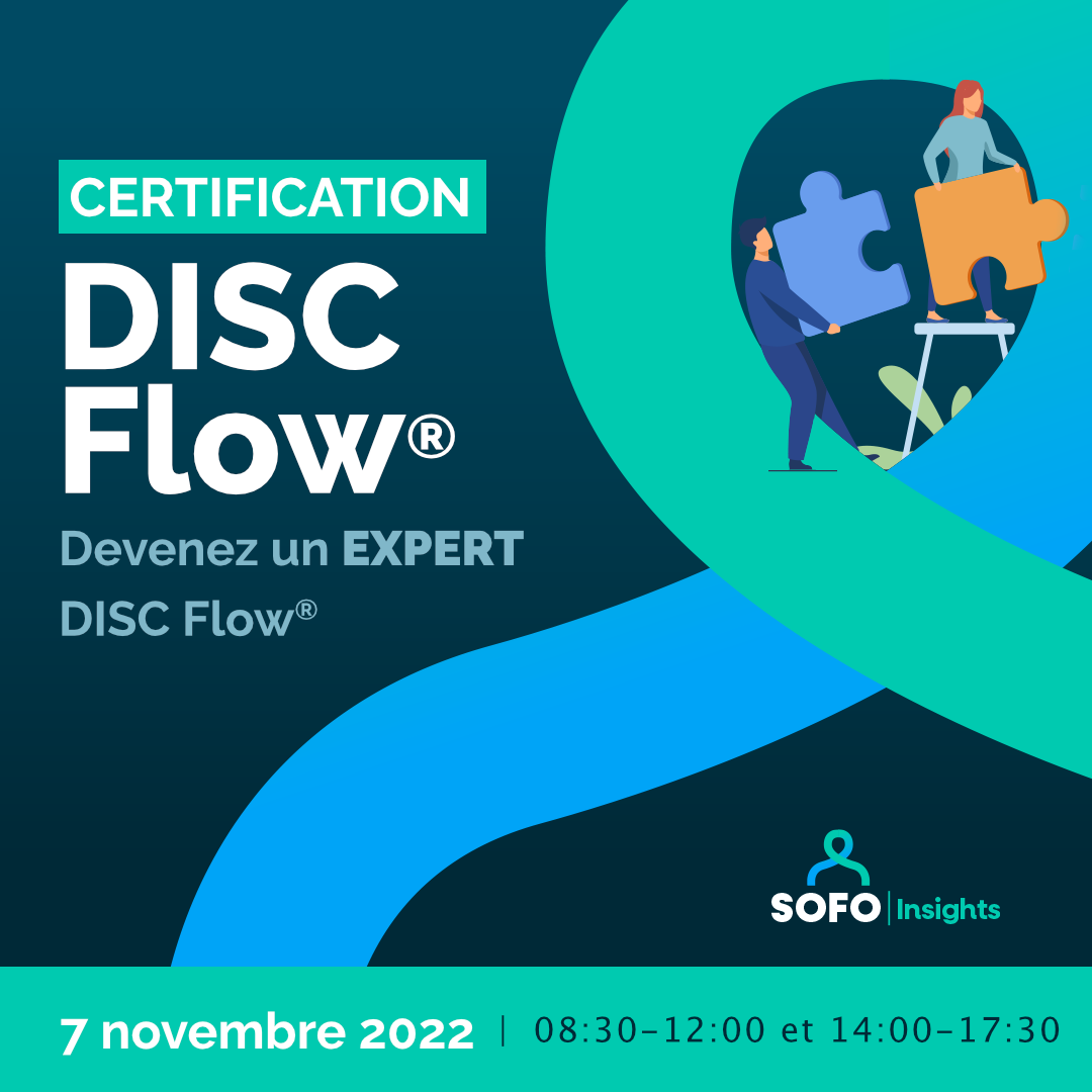 certification DISC Flow - 07.11.2022